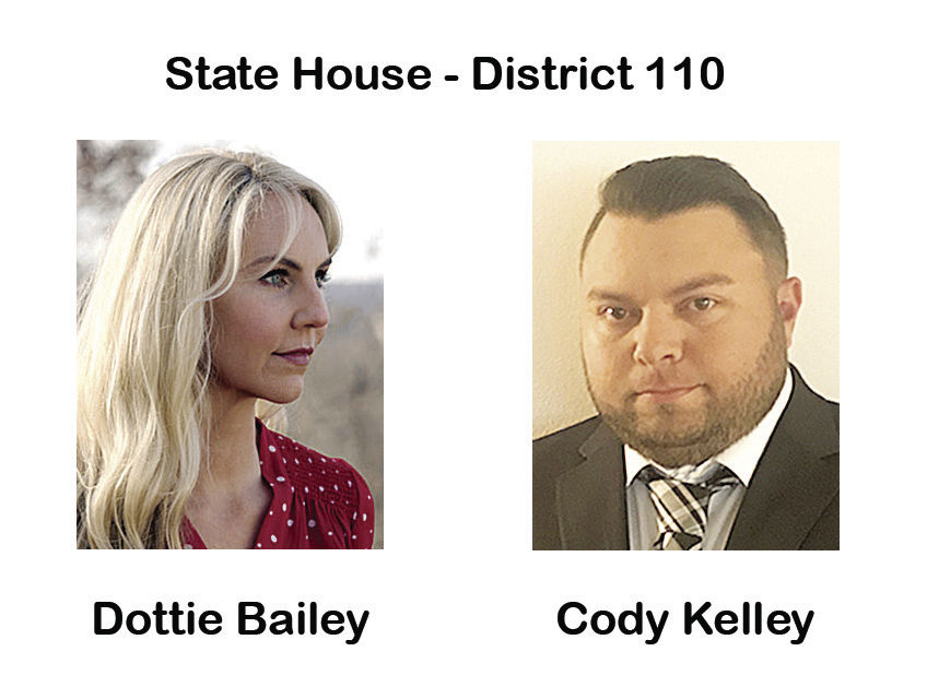 DISTRICT 110: Open seat generates first contested race in years